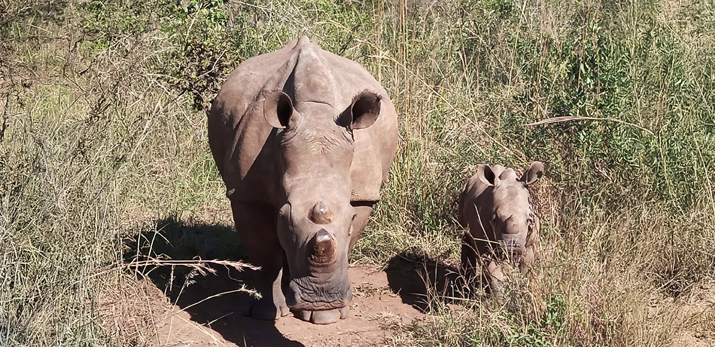 Wildlife conservation is much more than saving animals